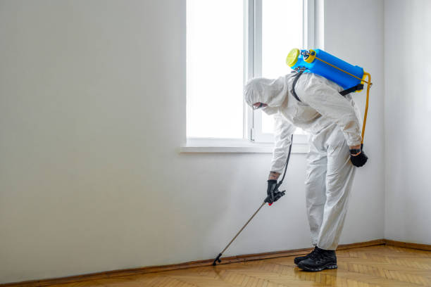 Best Residential Pest Control  in Riverview, MO